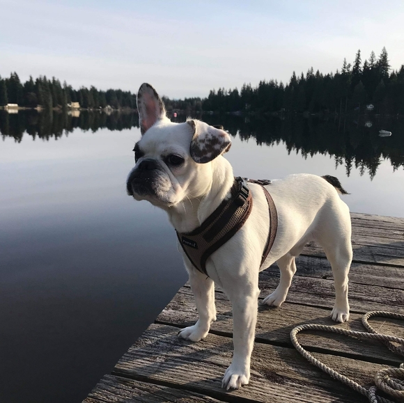 Quantity&Quality - Picture 4 of 8